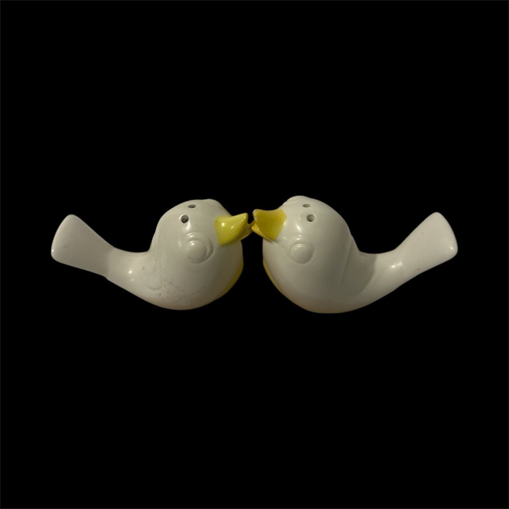 Unique Vintage Love Birds Salt and Pepper shakers.